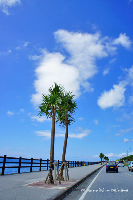 1010-17Okinawa