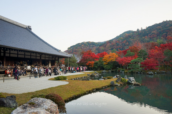 1201KYOTO11月-16