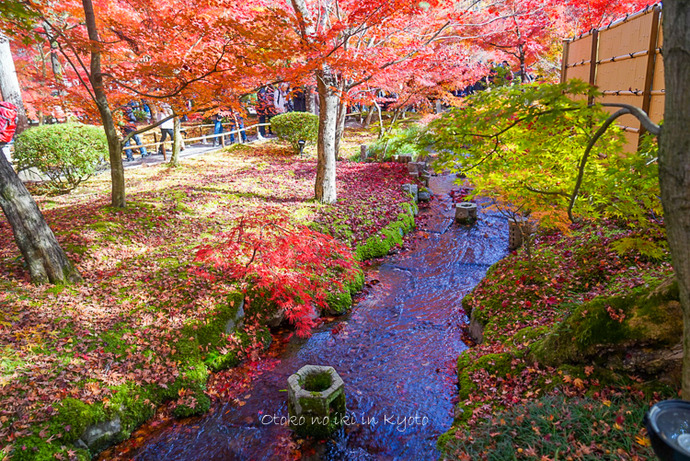 1124京都11月-22