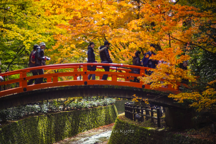 1123京都11月-8