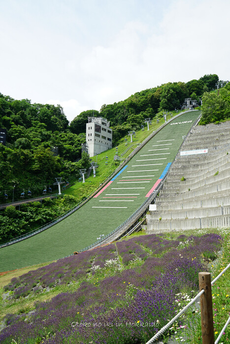 Hokkaido_Summer20202020-188