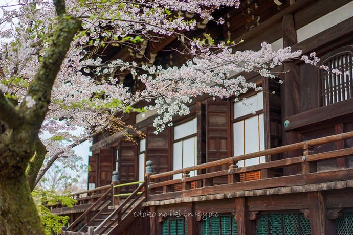 0407京都4月-96