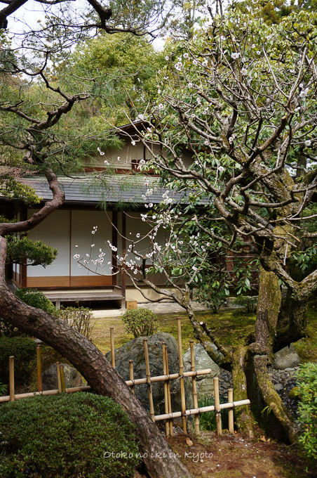 0324京都3月-23