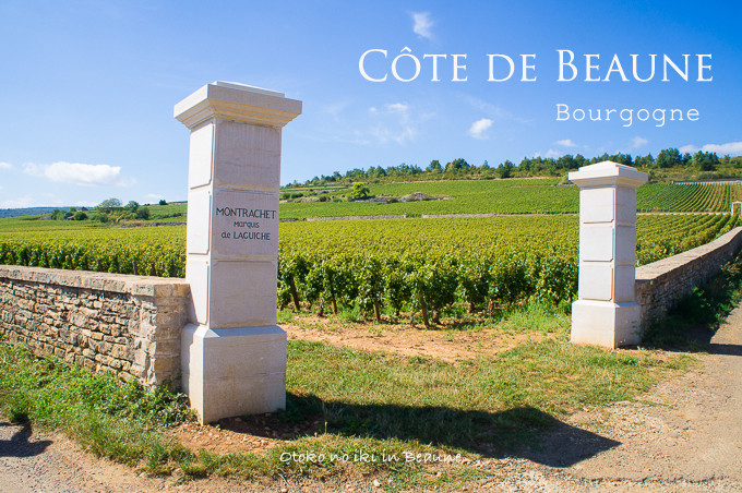 0508CotedeBeaune9月-0