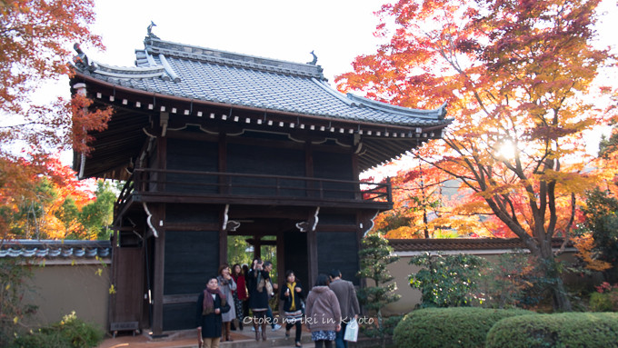 1130源光庵11月-22