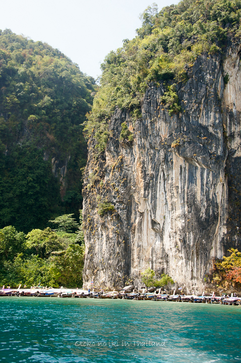 0103Krabi12月-56