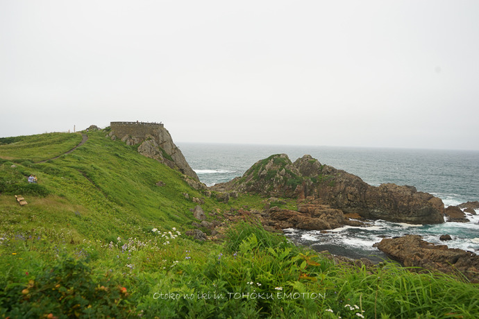 0922種差海岸7月-23