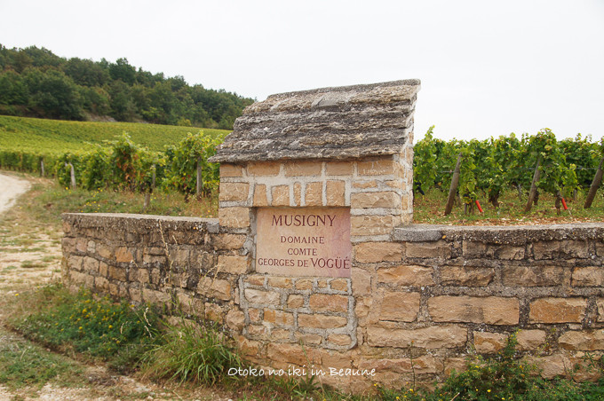 1118Beaune9月-11
