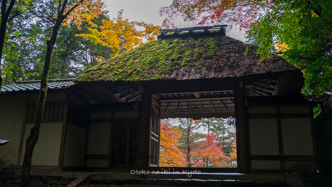 0219法然院11月-10