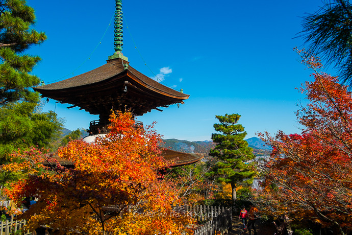 1110常寂光寺11月-7