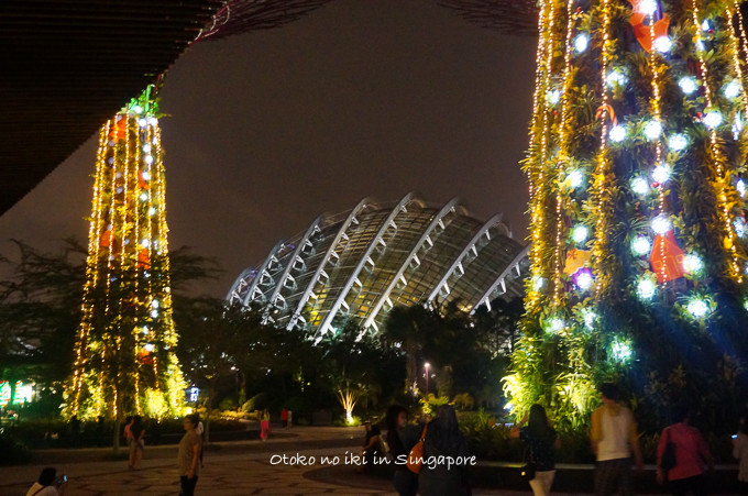 0113Singapore12月-17