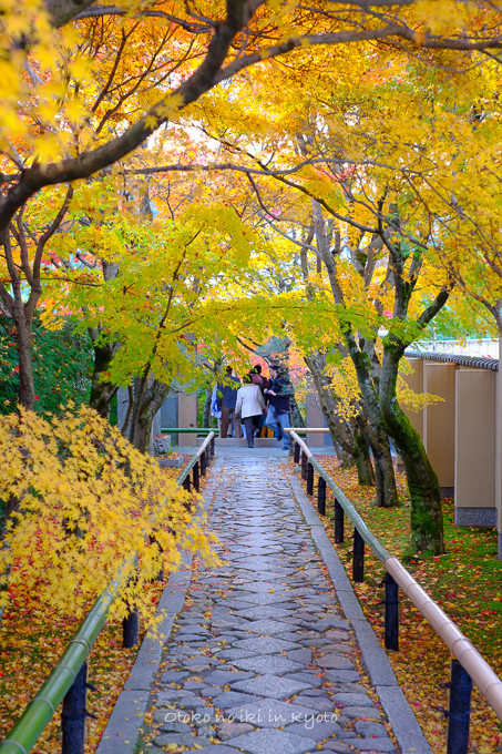 1129光悦寺11月-29