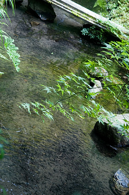 南禅院