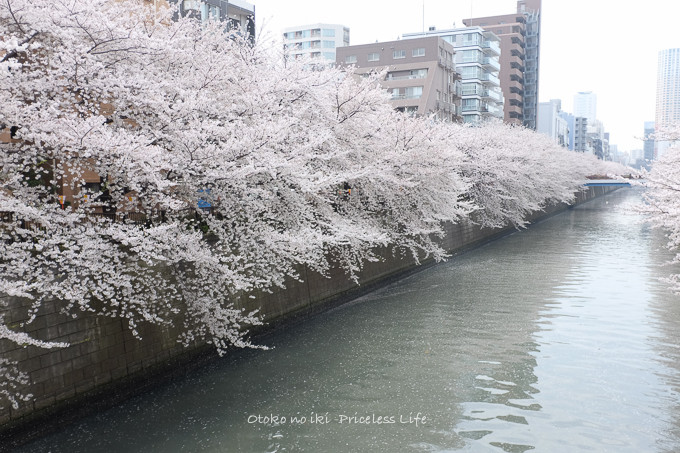 0409FUJI1·î-8