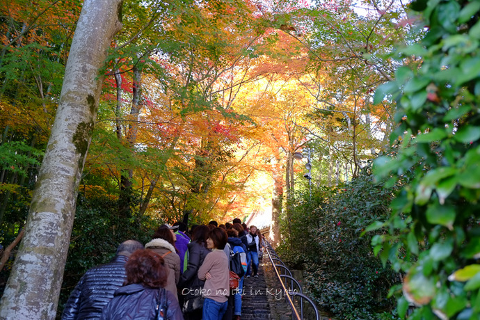 1102苔寺11月-34