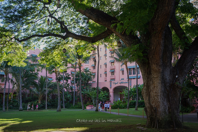 201412_Hawaii12月-21
