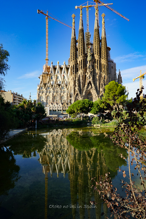 1003Spain9月-394