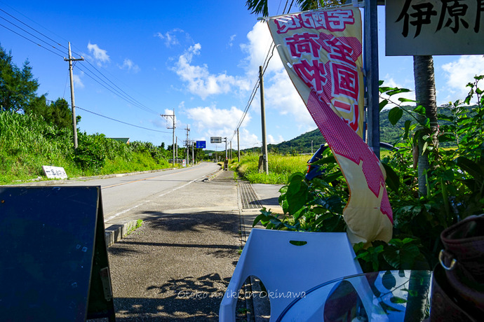 0701石垣島6月-10