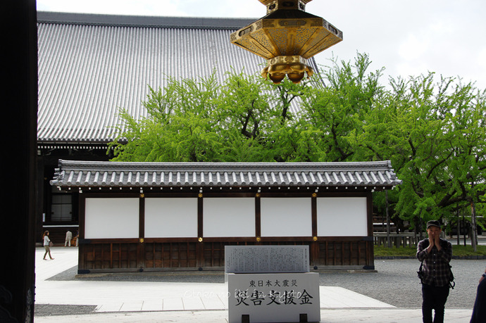 0904西本願寺5月-4