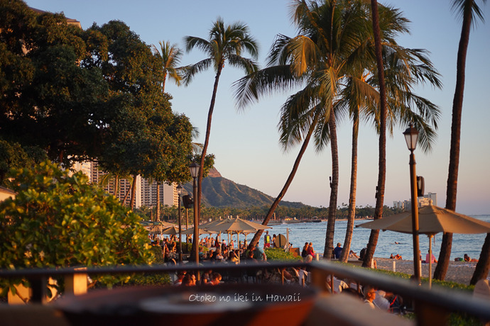 0218Moana412月-15