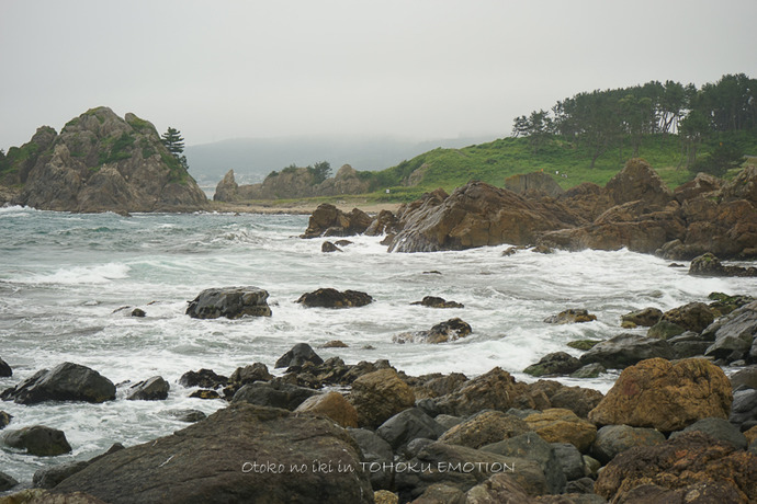 0922種差海岸7月-24