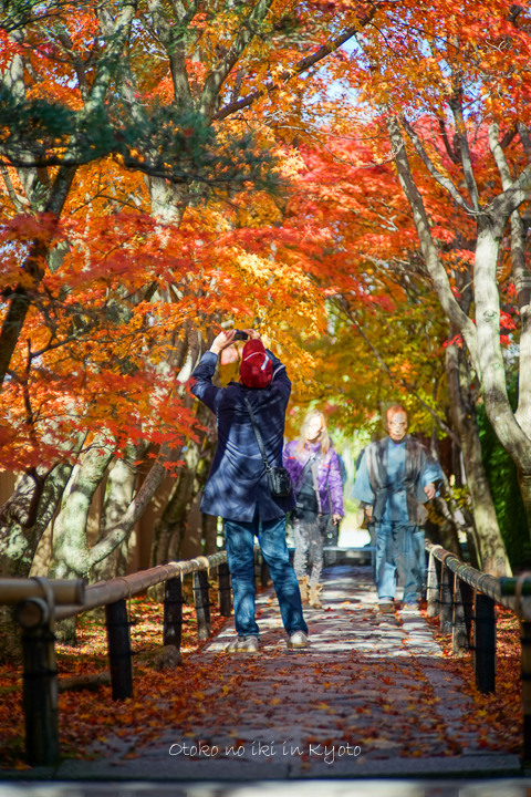 1201KYOTO11月-44
