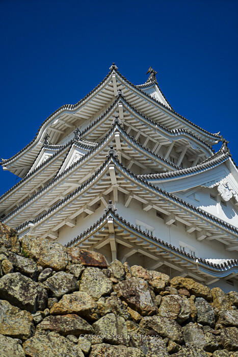 姫路城2019-9