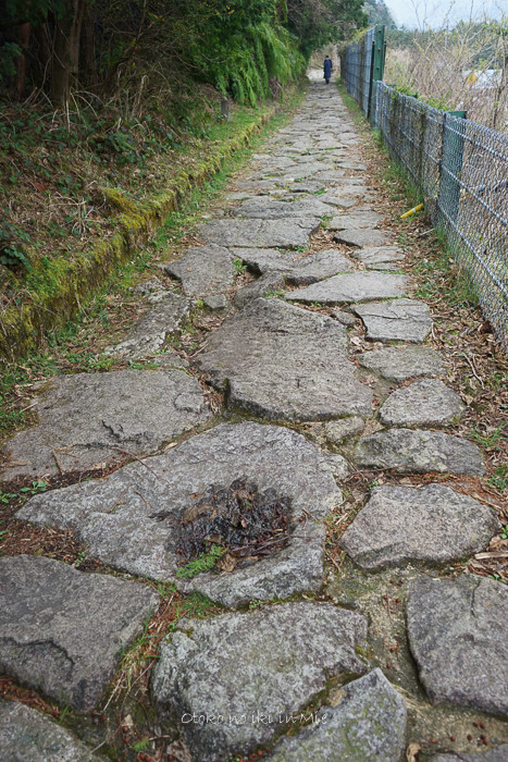 0708熊野古道3月-5
