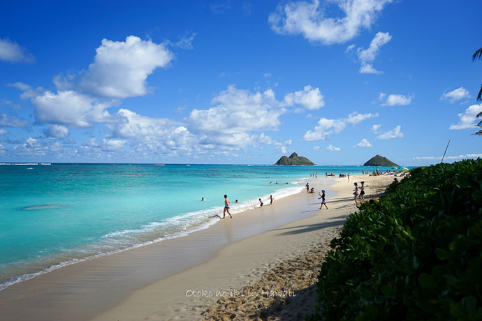 0226Hawaiiドライブ12月-15