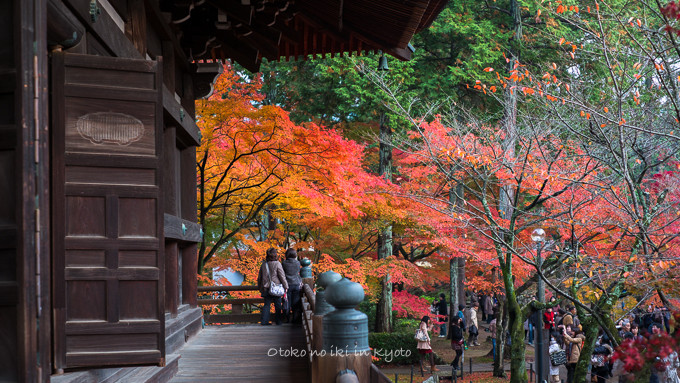 0404京都紅葉11月-28