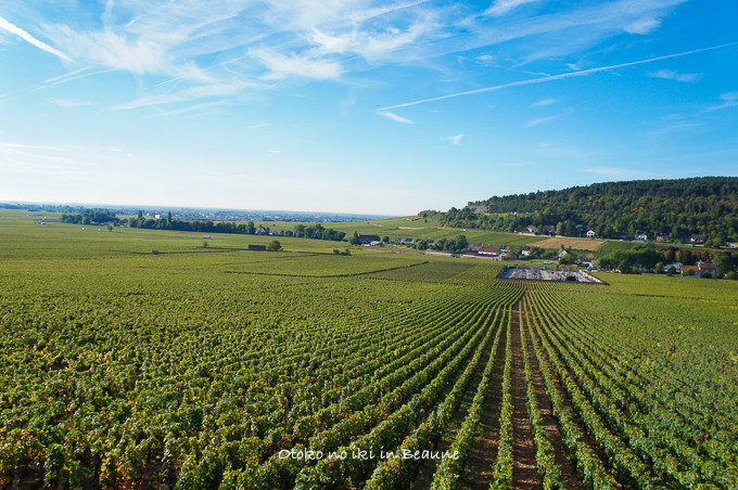 0822Corton9月-3