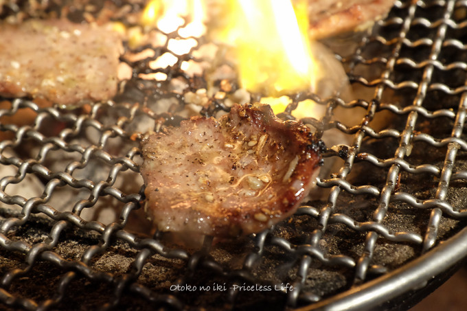 0409FUJI2月-19