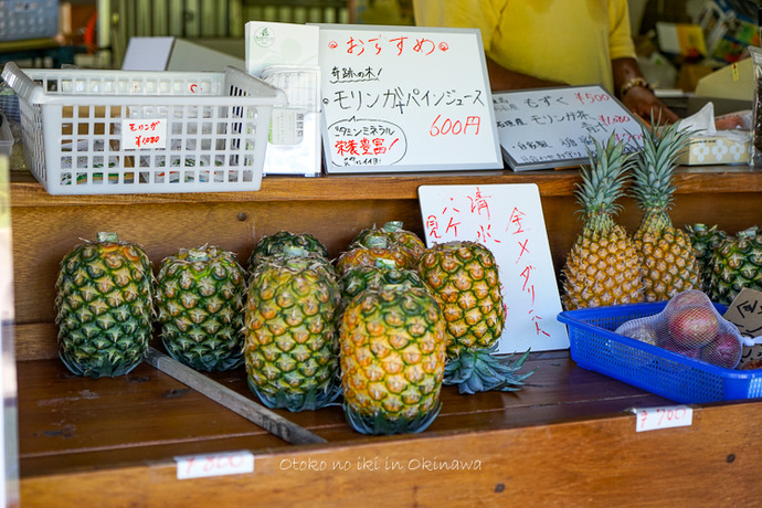 0701石垣島6月-7