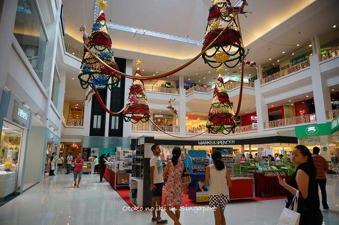 0113Singapore12月-3