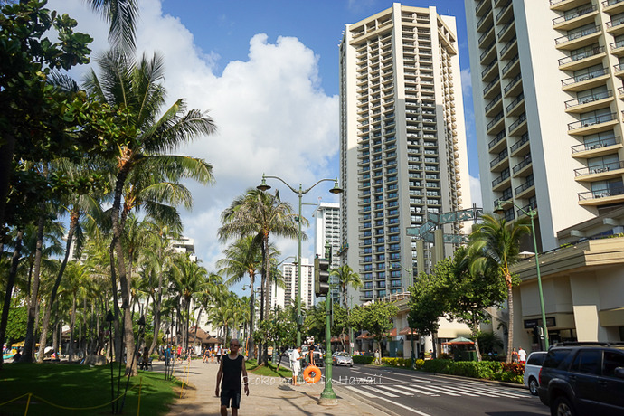 201412_Hawaii12月-86