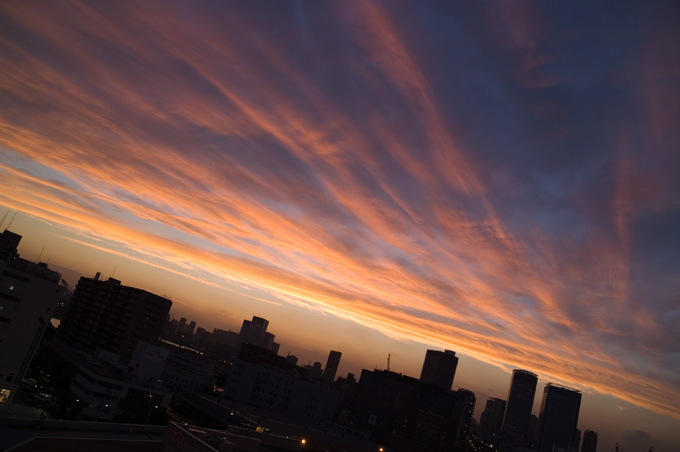 sample広角空