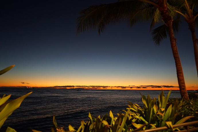 20141206Hawaii12月-54