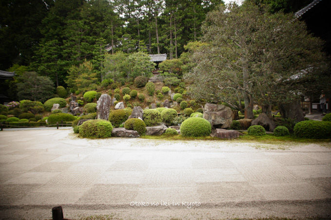 20120501-DSC04654