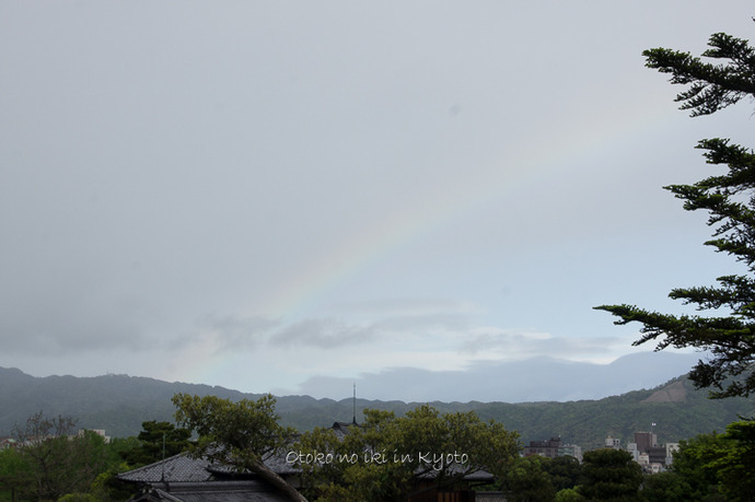 0920二条城5月-14