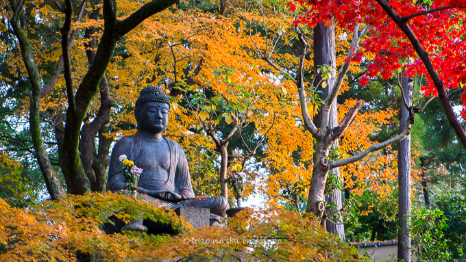0602京都11月-6