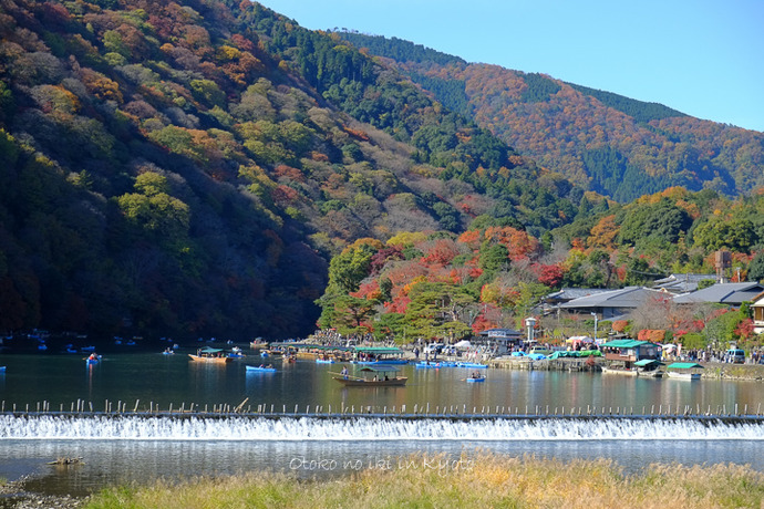 1107祇王寺11月-2