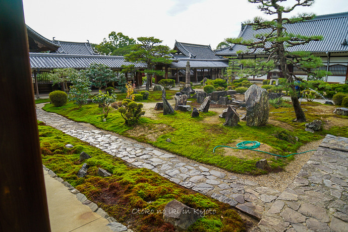 宇治松露会2019-6