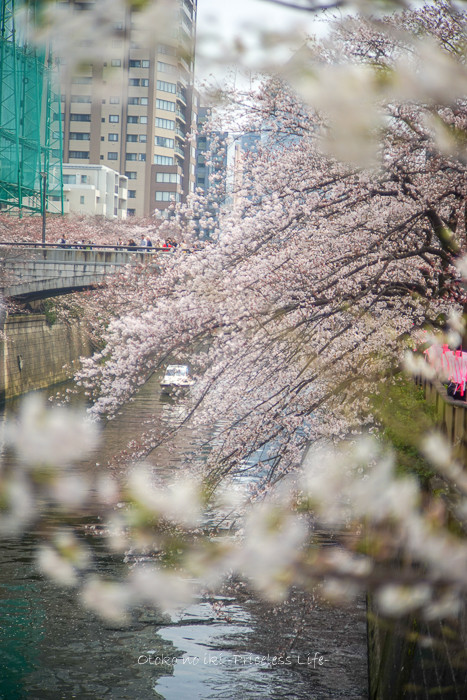 ºù2019-4