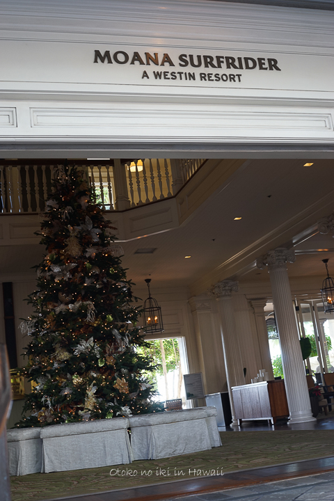 201412_Hawaii12月-67