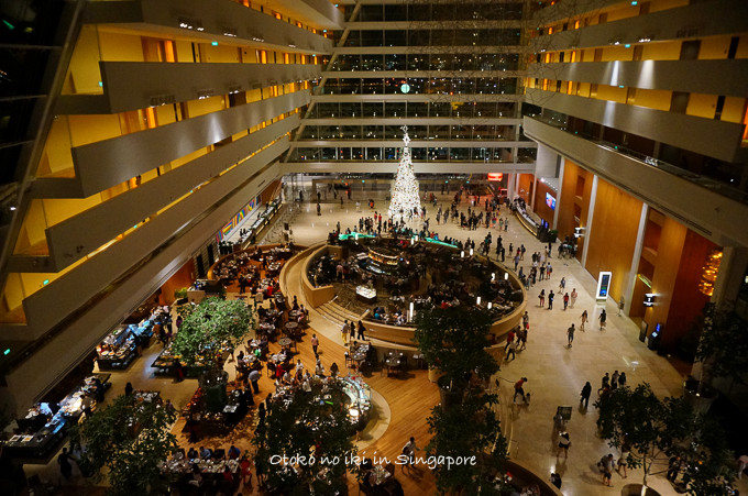 0113Singapore12月-21