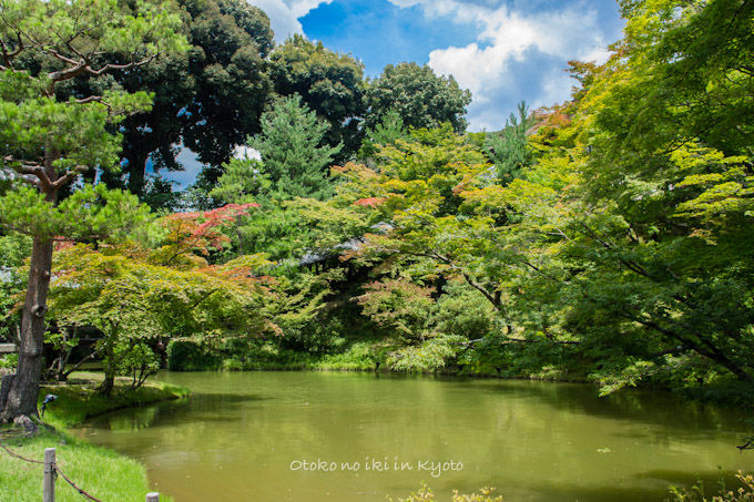 20120905高台寺-31