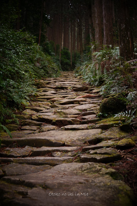 0708熊野古道3月-13