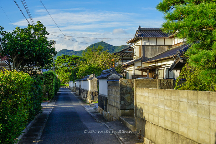 ���и�2020-100