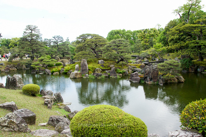 0920二条城5月-7