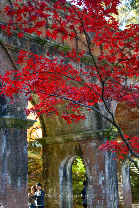 kyoto20202020-11